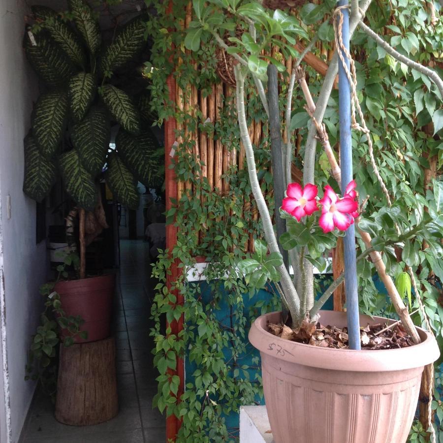 Alojamiento Ya'Ax Nah Playa del Carmen Extérieur photo