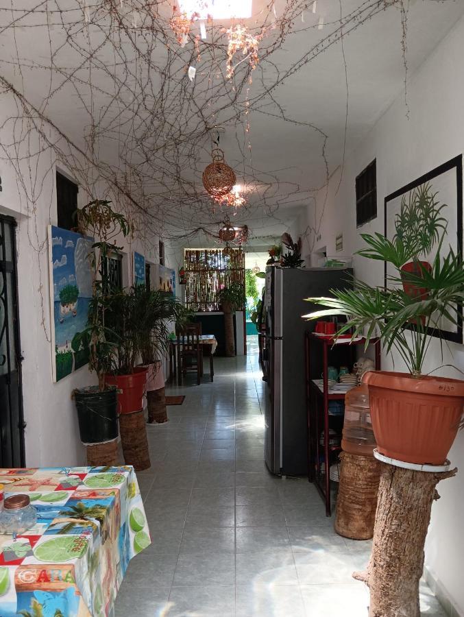Alojamiento Ya'Ax Nah Playa del Carmen Extérieur photo